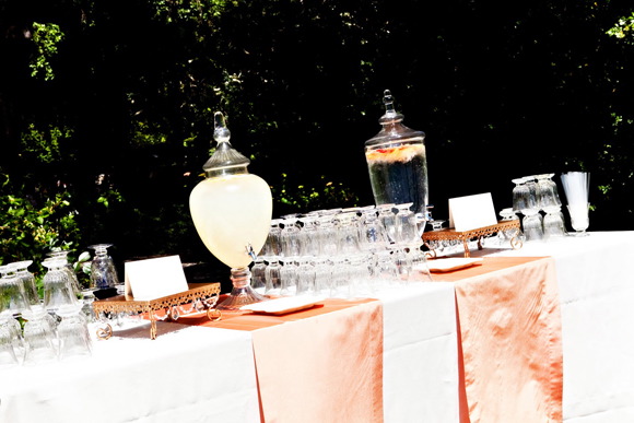 Lemonade and Water Bar lemonade-and-water-bar