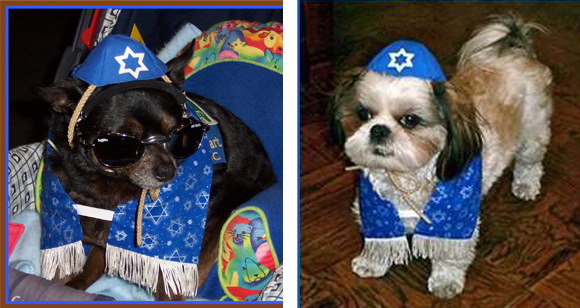 pop-judaica-dog-yarmulke-and-tallis
