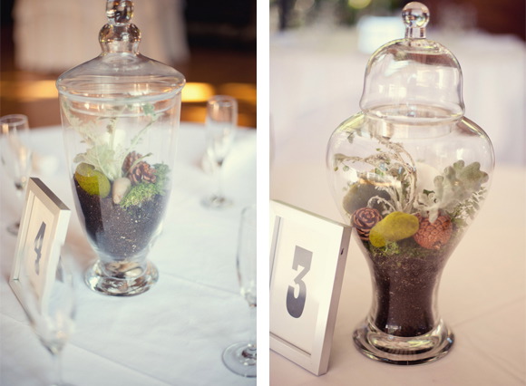 berkeley-ca-real-jewish-wedding