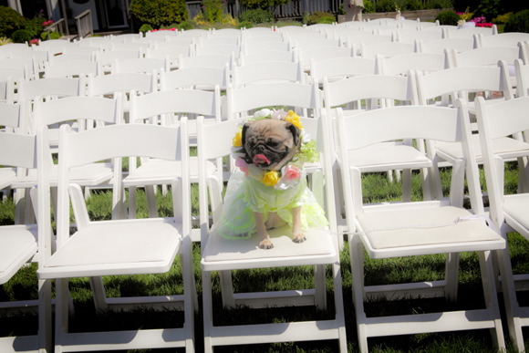 sayville-new-york-real-jewish-wedding