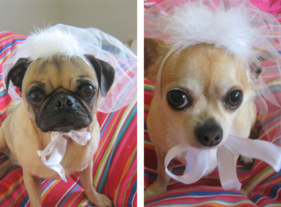 BridalParty