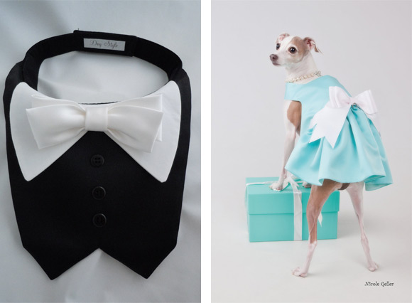 DogStyle
