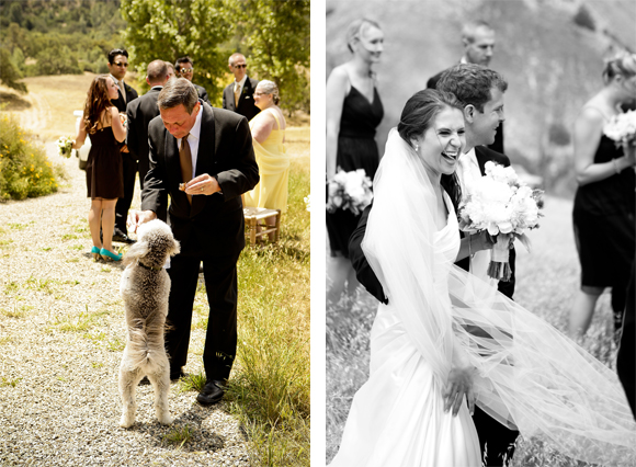 real-jewish-weddings-|-los-olivos-santa-barbara